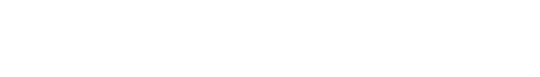 Brewer I.T. logo